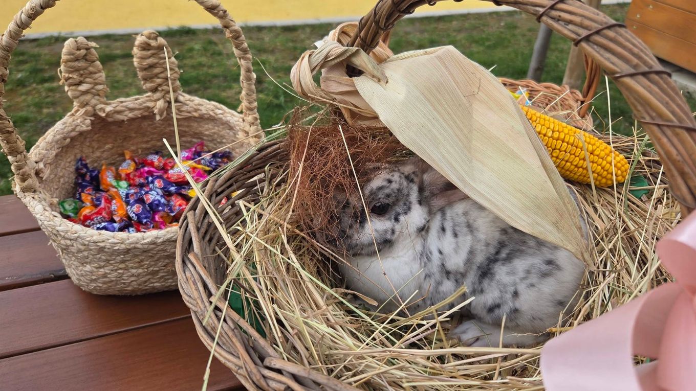 Uskrsna radost u vrtićima općine Nedelišće