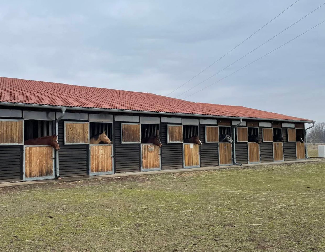 Centar za terapijsko i rekreacijsko jahanje Decretum