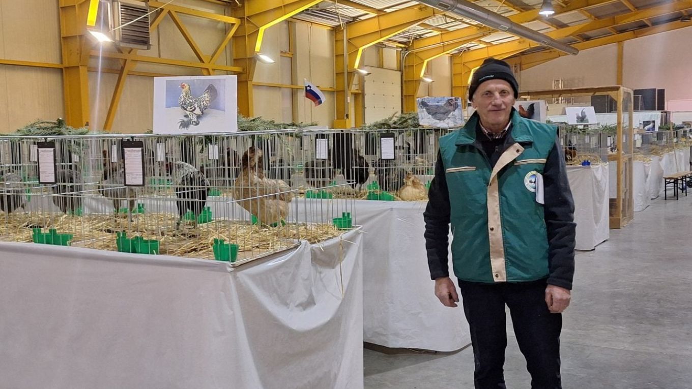 49. Izložba malih životinja