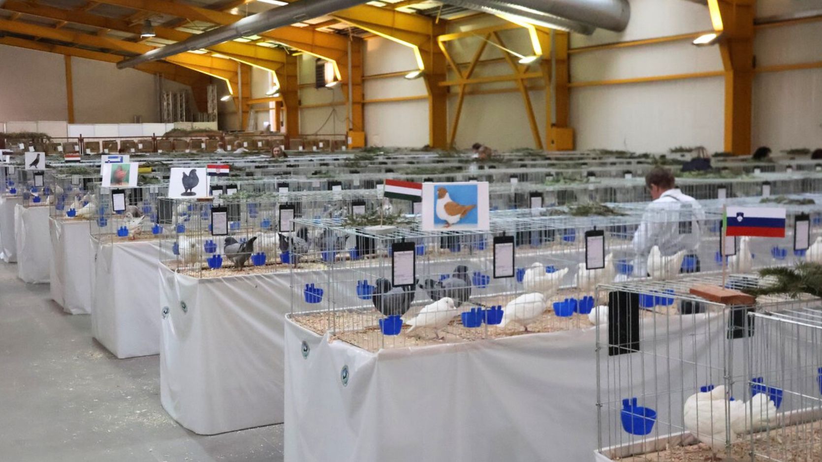 49. Međunarodna izložba malih životinja